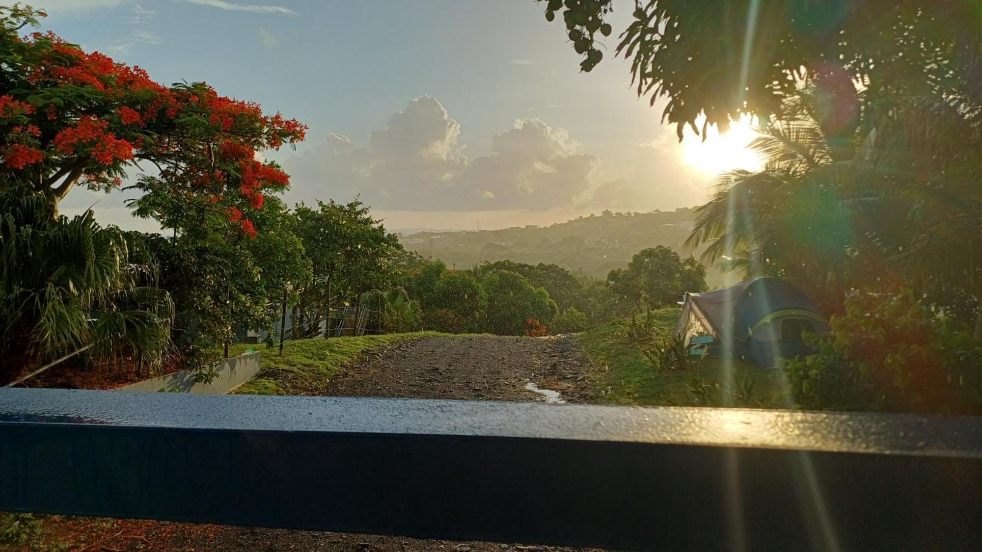 Rooster Run Glamping Camping Has Rooftop And Off The Ground Glamping Experience For 1 To 16 In A Single Tent And Views Of The Rain Forrest And To Culebra Across The Atlantic Ocean W Tents, Linens, Deluxe Air Beds, Warm Shower And More At A Great Pric Вьекес Экстерьер фото