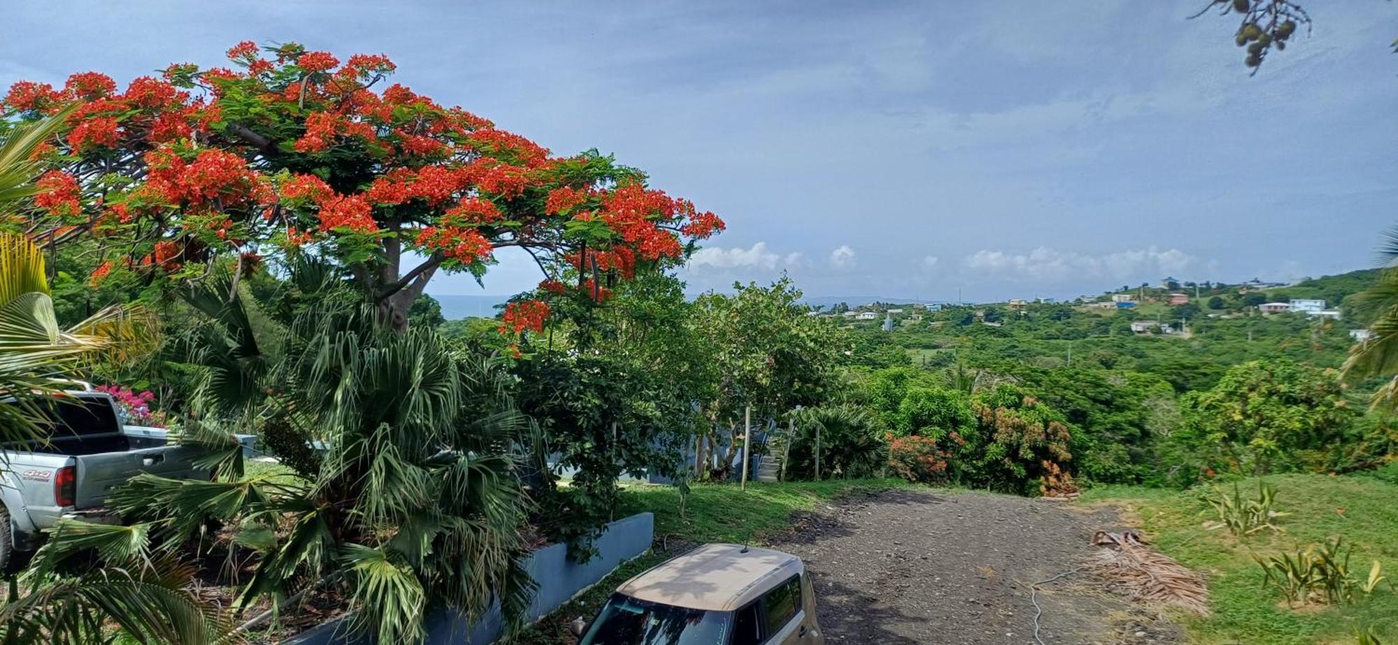 Rooster Run Glamping Camping Has Rooftop And Off The Ground Glamping Experience For 1 To 16 In A Single Tent And Views Of The Rain Forrest And To Culebra Across The Atlantic Ocean W Tents, Linens, Deluxe Air Beds, Warm Shower And More At A Great Pric Вьекес Экстерьер фото